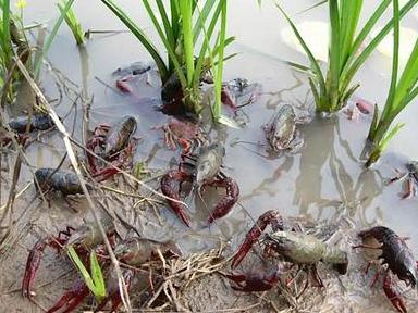 1554965673798505.jpg fa93a947d3d64346adc81c1983458e4c_th.jpg