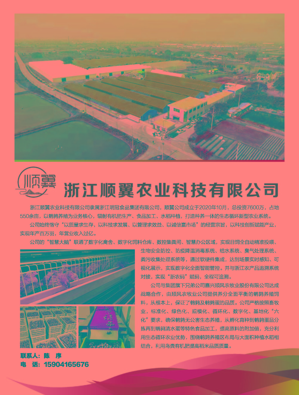 順翼宣傳廣告單_頁面_1