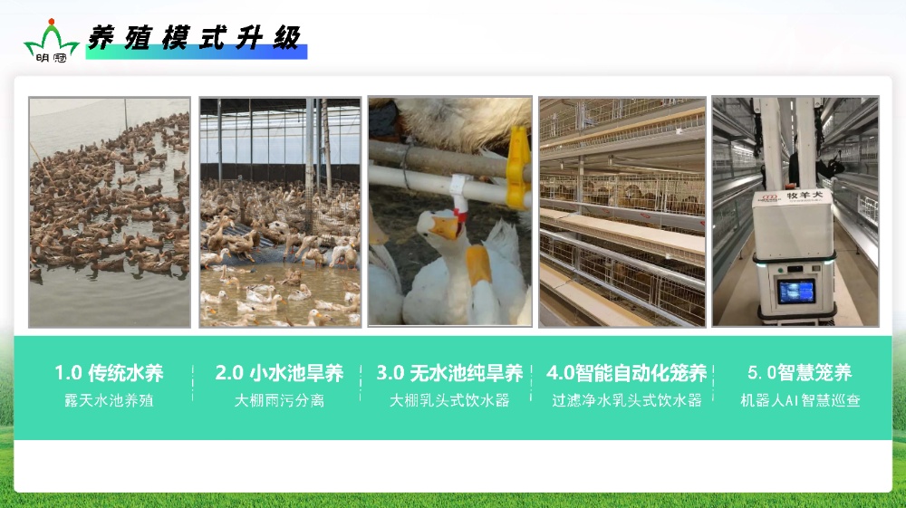 我們明冠人 -業務員2024定稿_頁面_2